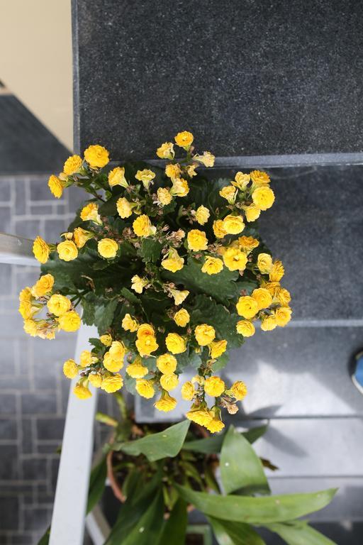 فندق Tina Family دالات المظهر الخارجي الصورة