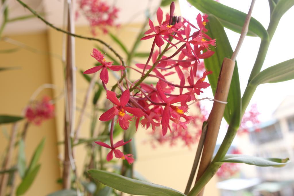 فندق Tina Family دالات المظهر الخارجي الصورة